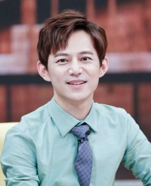 何炅爆料娱乐圈视频,一场真实与虚幻的碰撞  第2张